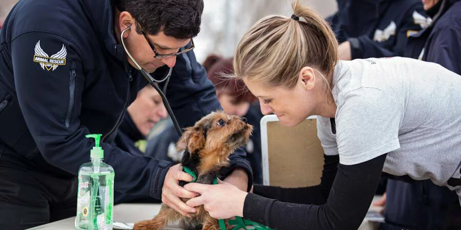 A veterinarian listens to a small brown dog’s heartbeat with a stethoscope while a woman gently holds the dog. A bottle of hand sanitizer is on the table next to them.