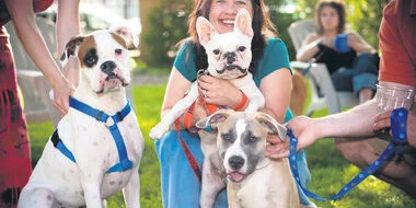A woman smiles while holding a small white French bulldog, surrounded by two people holding leashes of two larger dogs, outdoors on a sunny day. Another person sits in the background on a lawn chair.