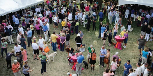 A large group of people gather outdoors on grass under tents, socializing around tables with pink tablecloths. Some people have drinks, and a few dogs are present among the crowd.