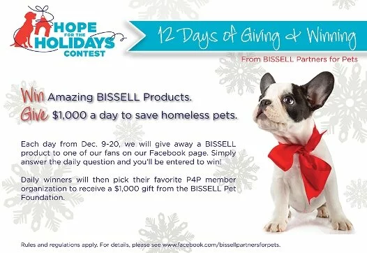 A holiday-themed contest flyer with a French bulldog puppy wearing a red scarf. Text promotes the “Hope for the Holidays” contest, offering BISSELL prizes and $1,000 daily to help homeless pets, running from December 9-20.