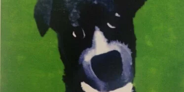 A painted image of a black and white dog with floppy ears, tilting its head and looking forward, set against a bright green background.