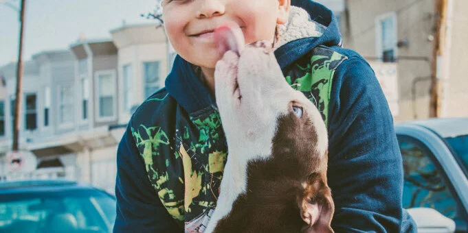 A smiling child in a blue and green hoodie sits outdoors while a brown and white dog stands on its hind legs and licks the childs chin. Houses and parked cars are visible in the background.
