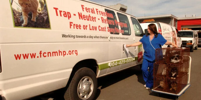 A woman in blue scrubs wheels two cages with cats towards a white van labeled Feral Freedom Trap-Neuter-Return Program and Free or Low Cost Spay/Neuter in red text, parked in a lot.