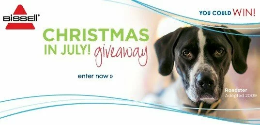 A Bissell ad for a Christmas in July! giveaway features a close-up of a black and white dog named Roadster, adopted in 2009, with text encouraging viewers to enter for a chance to win.