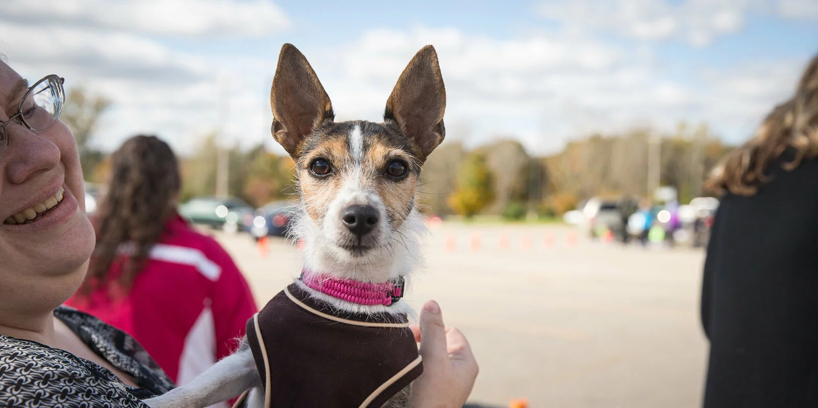 A small dog wearing a pink collar and brown jacket is held by a smiling person outdoors, with people and trees blurred in the background.
