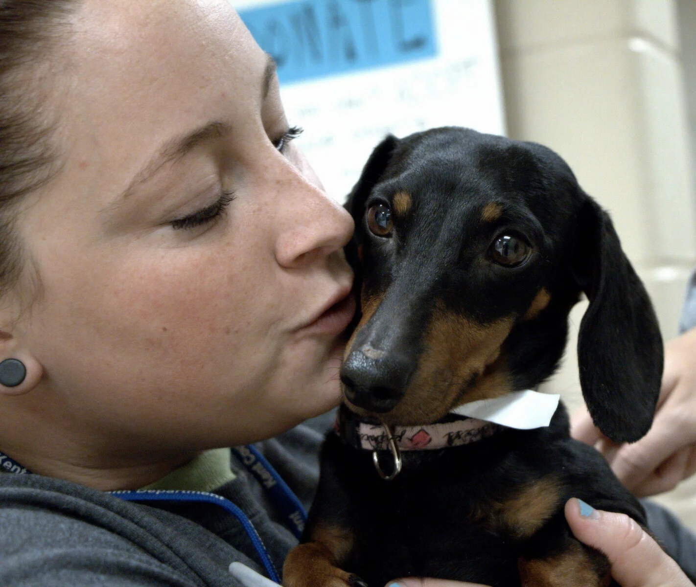 A woman with light skin and dark earrings lovingly cuddles a small black and brown dachshund, gently touching her face to the dogs head. The dog looks at the camera, wearing a collar and a white tag.