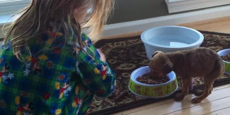 A young child in colorful pajamas sits on the floor near a small brown puppy eating from a bowl, with a water dish and another bowl nearby on a patterned rug.