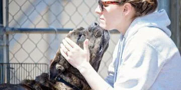 A woman in sunglasses and a light hoodie gently holds a dog’s face, touching foreheads lovingly. They are outside by a chain-link fence, with sunlight illuminating them.