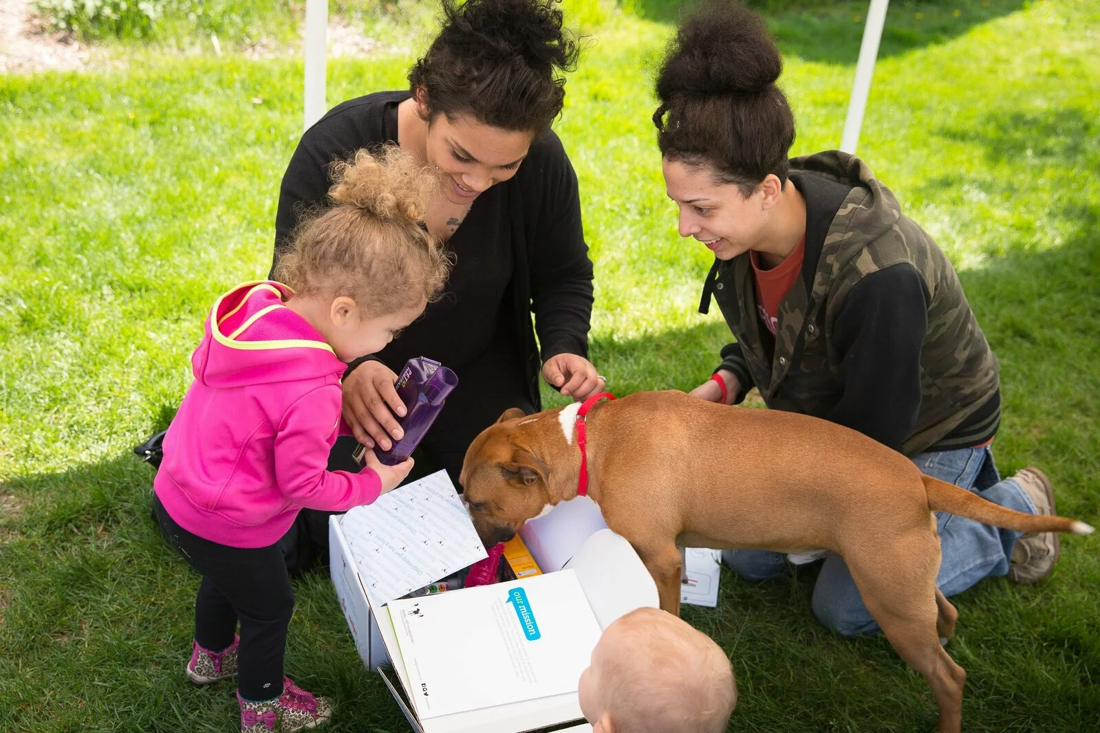 Two women, a toddler, and a dog gather around an open box on the grass outside. The toddler holds a purple bottle while the dog sniffs inside the box. Another young child is partially visible in the foreground.