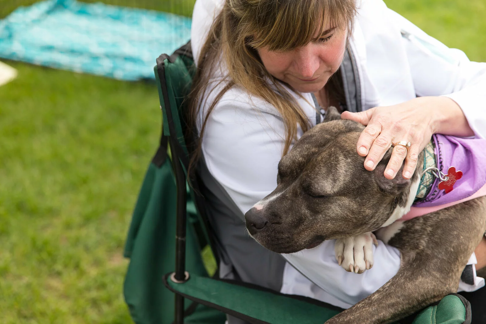 A woman in a white coat gently hugs a brindle dog wearing a purple bandana. The dog looks calm with its eyes closed, sitting on the womans lap outdoors on green grass.