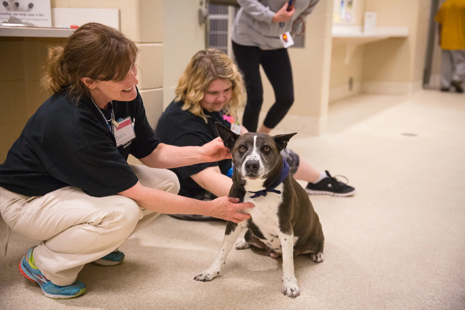 Two women sit on the floor of an indoor animal shelter petting a black and white dog with a blue collar. The dog looks alert while one woman gently holds its head, and the other woman sits nearby.