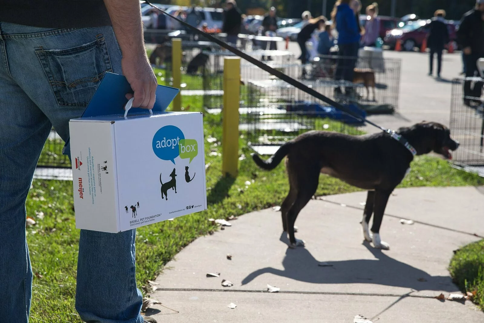 A person holding an adopt box stands next to a leashed black and white dog on a sidewalk at an outdoor pet adoption event, with people and animal pens visible in the background.