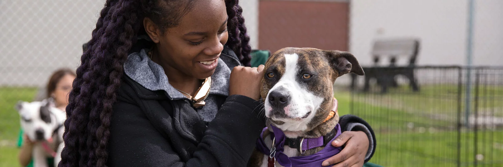 A smiling woman with long braids pets a brindle and white dog wearing a purple harness outside near a fenced area. Another person and dog are visible in the background.