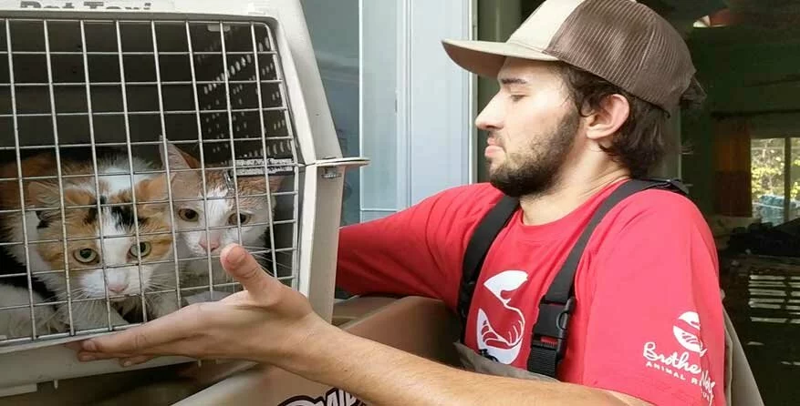 A man in a red shirt and brown cap holds a pet carrier containing two cats. The man appears to be transporting the cats, and there is water visible behind him, suggesting a rescue situation.