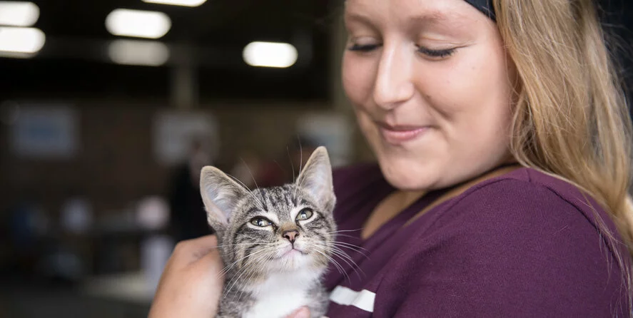 A woman wearing a maroon shirt smiles warmly while holding a gray tabby kitten that looks up at her contentedly. The background is softly blurred, emphasizing their bond.