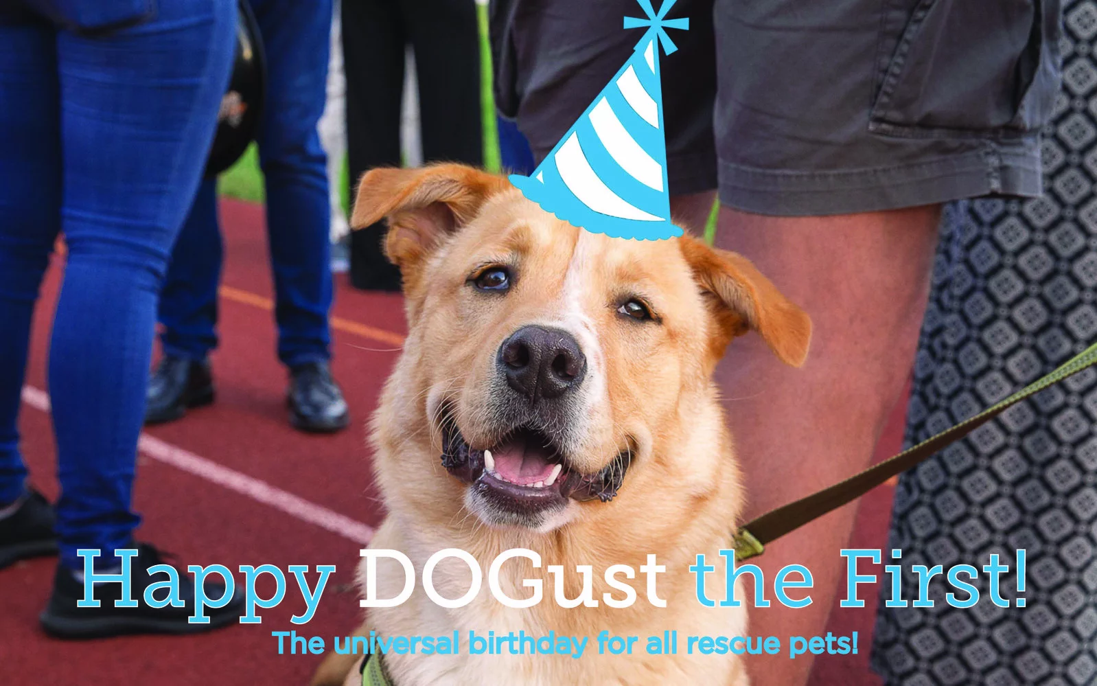 A smiling tan dog wearing a blue party hat stands on a track among people. Text reads, Happy DOGust the First! The universal birthday for all rescue pets!.