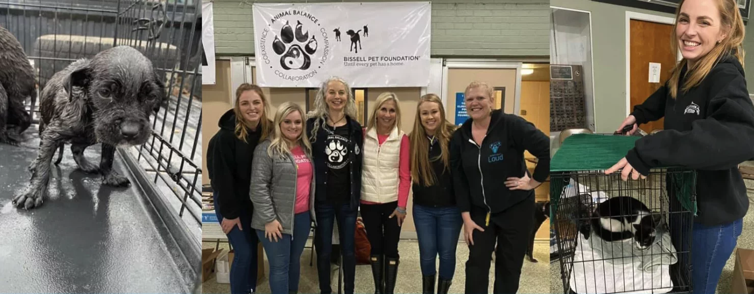 A collage showing: a wet puppy in a cage, five women posing in front of an animal rescue banner, and a smiling woman holding a cage with a black and white puppy inside at an indoor pet event.