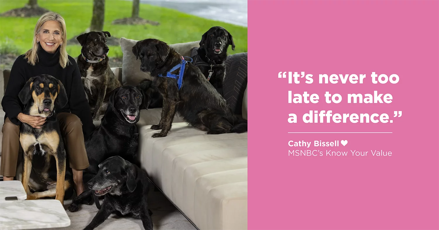 A smiling woman sits on a couch surrounded by six dogs. Beside them, a pink background displays the quote, “It’s never too late to make a difference,” attributed to Cathy Bissell from MSNBC’s Know Your Value.