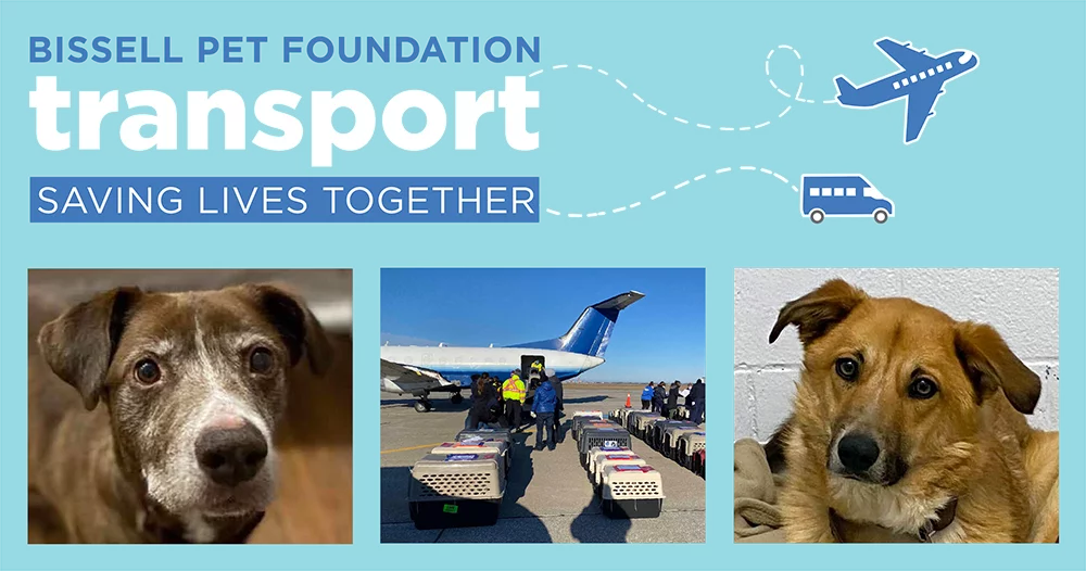 A graphic for BISSELL Pet Foundation’s transport program shows the slogan Saving Lives Together, featuring an airplane, a van, two dogs, and crates being loaded onto a plane for animal transport.