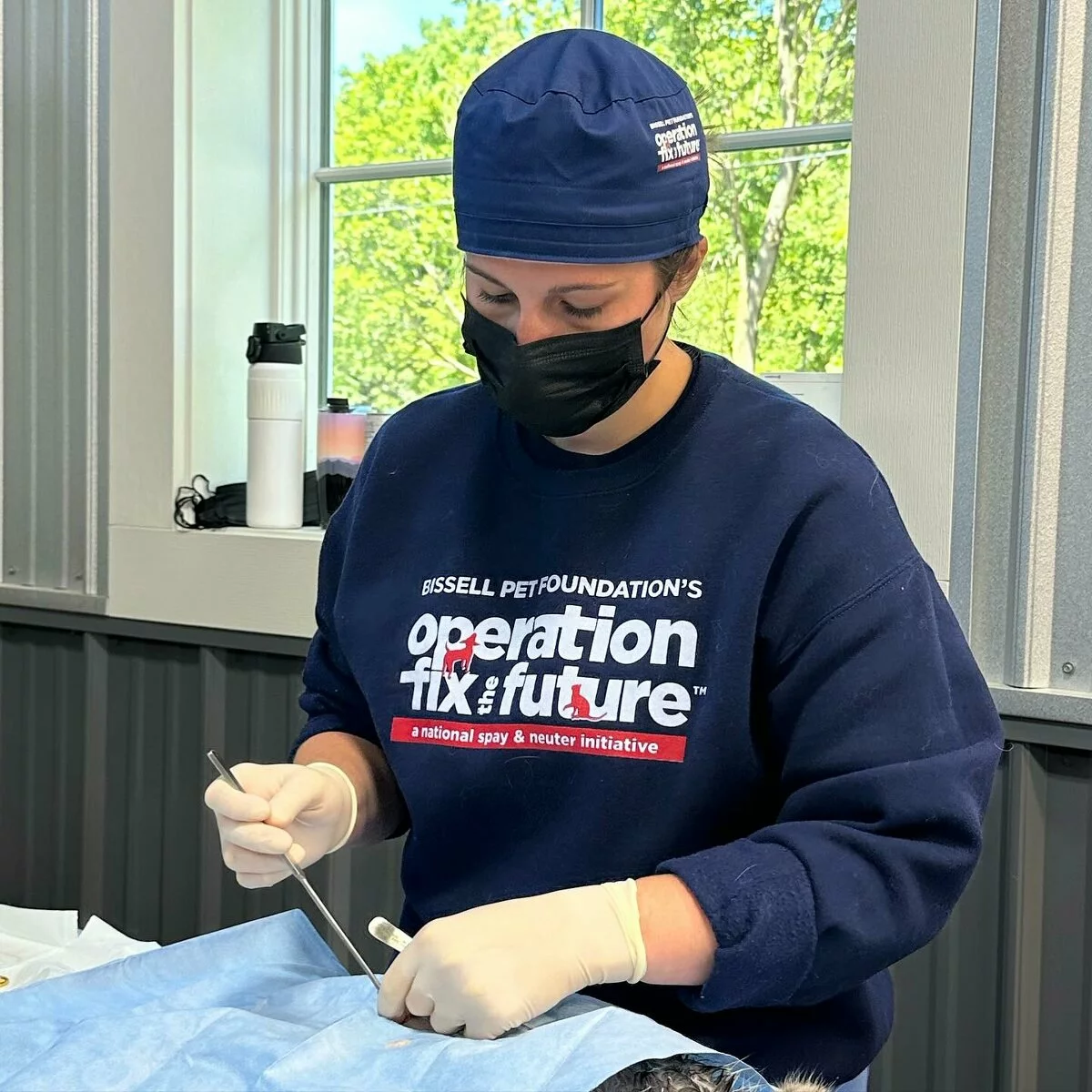 A veterinarian wearing a navy cap, mask, gloves, and a sweatshirt reading operation fix the future performs a procedure on an animal in a clinic with large windows and natural light.