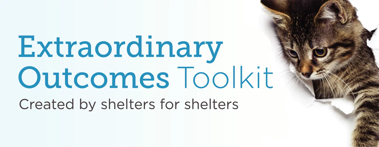 A tabby kitten peeking through a torn white paper next to the text Extraordinary Outcomes Toolkit Created by shelters for shelters.