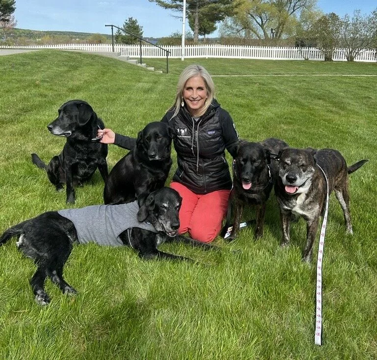 A woman with blonde hair, wearing a black vest and red pants, kneels on green grass, smiling and surrounded by five large dogs, some sitting and some standing, in an outdoor park-like setting.