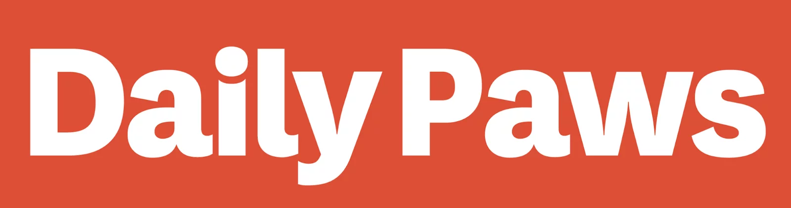 Dailly Paws orange and blue logo