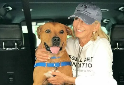 A smiling woman in a gray cap and white sweatshirt sits in a car, hugging a happy brown dog with a blue harness. The dog is looking forward with its tongue out.