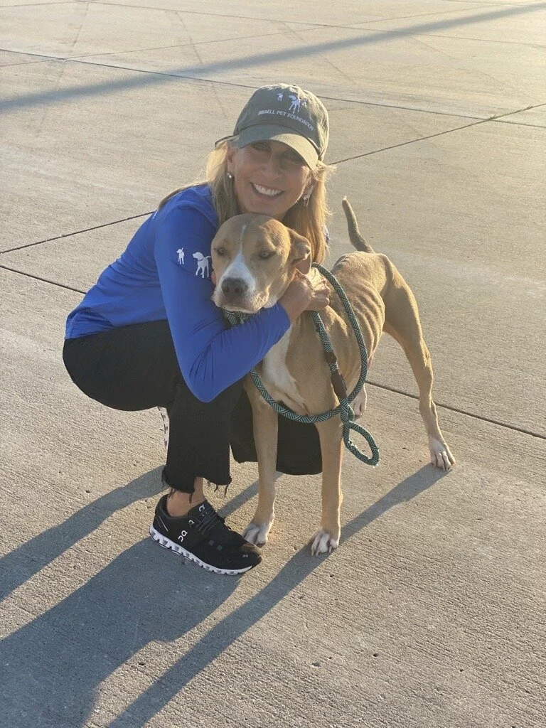 A smiling woman in a blue shirt and cap crouches on a sidewalk, hugging a tan and white dog with a green leash. Sunlight casts long shadows behind them.