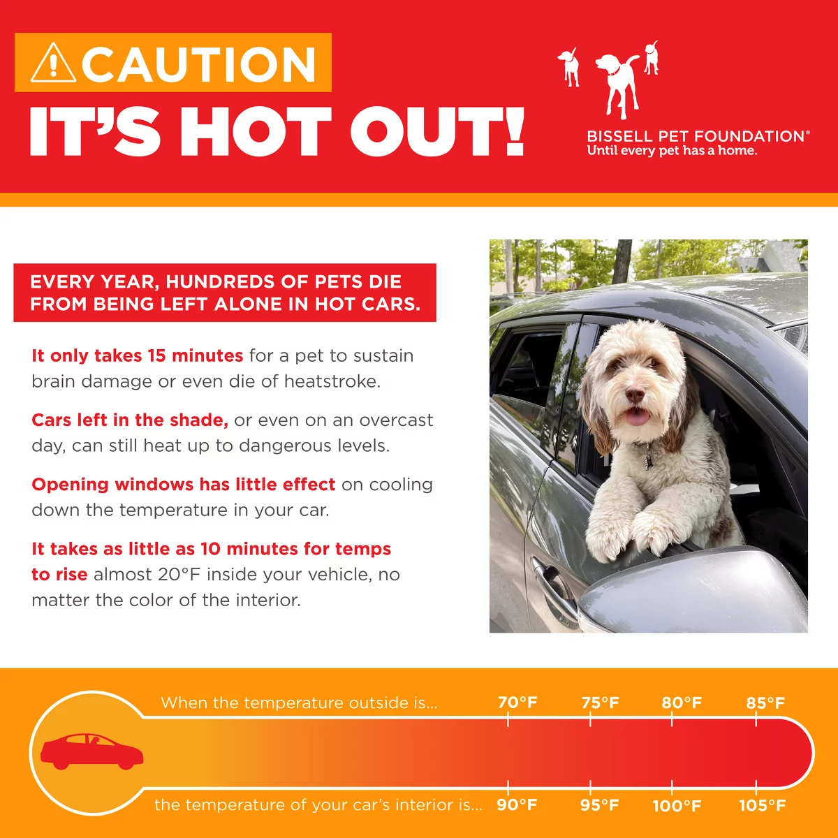 A warning infographic features a dog sticking its head out of a car window. Text explains the danger of leaving pets in hot cars, highlighting that temperatures inside can quickly rise to fatal levels for pets, the text reads: EVERY YEAR, HUNDREDS OF PETS DIE FROM BEING LEFT ALONE IN HOT CARS. It only takes 15 minutes for a pet to sustain brain damage or even die of heatstroke. Cars left in the shade, or even on an overcast day, can still heat up to dangerous levels. Opening windows has little effect on cooling down the temperature in your car. It takes as little as 10 minutes for temps to rise almost 20°F inside your vehicle, no matter the color of the interior.