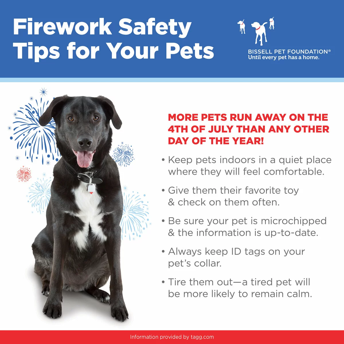 A black dog wearing a collar sits next to text with fireworks graphics. The text reads that more pets run away on the 4th of July than any other day of the year. Then it provides tips to keep your safe pet, including: keep pets indoors in a quiet place where they will feel comfortable, give them their favorite toy and check on them often, be sure your pet is microchipped and the information is up-to-date, always keep ID tags on your pets collar, and tire them out – a tired pet will be more likely to remain calm.