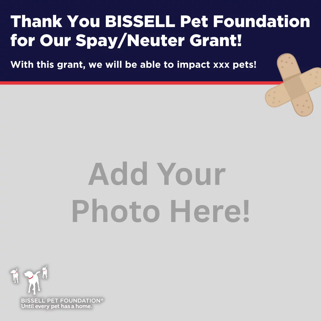 Graphic with a thank you message to BISSELL Pet Foundation for a spay/neuter grant, a space labeled Add Your Photo Here!, and a small bandage illustration in the top right corner.