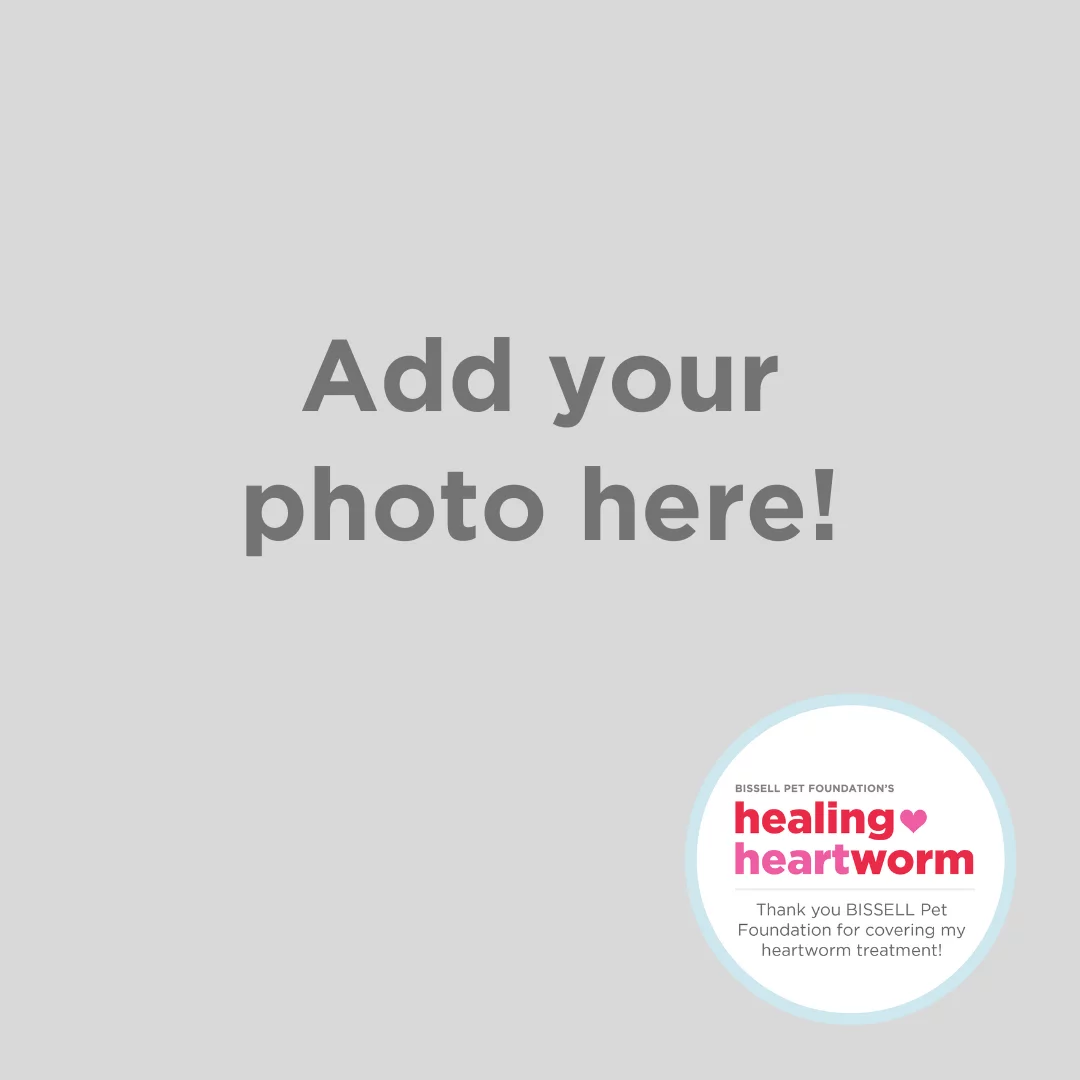 A gray background with the text Add your photo here! in the center. In the bottom right corner, there’s a circular logo for BISSELL Pet Foundation’s Healing Heartworm program.
