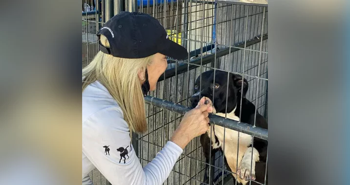 A woman in a black cap gently holds the paw of a black and white dog through the bars of an animal shelter kennel, making eye contact with the dog.