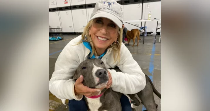 A smiling woman in a light jacket and baseball cap hugs a gray dog with a pink collar indoors. There are other dogs and tables in the background.