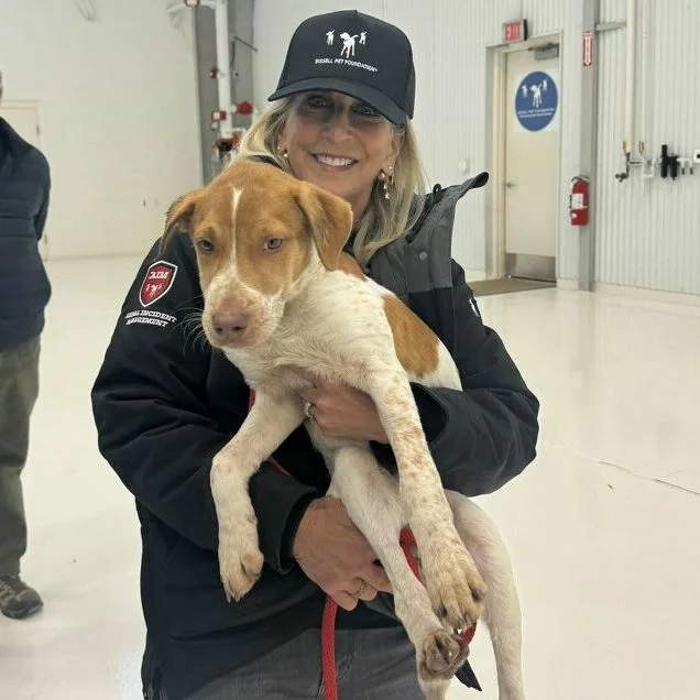 A smiling woman in a black jacket and hat holds a brown and white dog indoors. The woman stands in a bright, open room with white walls and floors. The dog appears calm and relaxed.