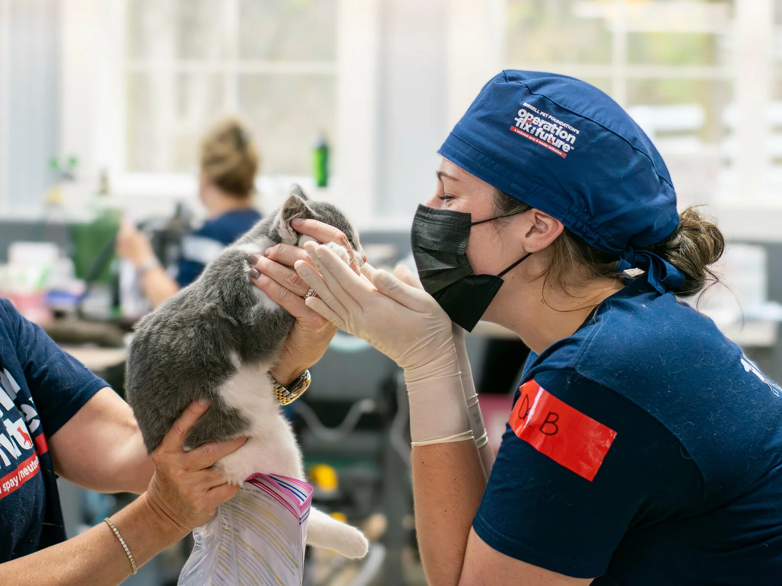 A woman in scrubs and a mask gently holds a cat’s face with gloved hands, smiling, while another person supports the cat. The scene appears to be a veterinary clinic or animal care setting.