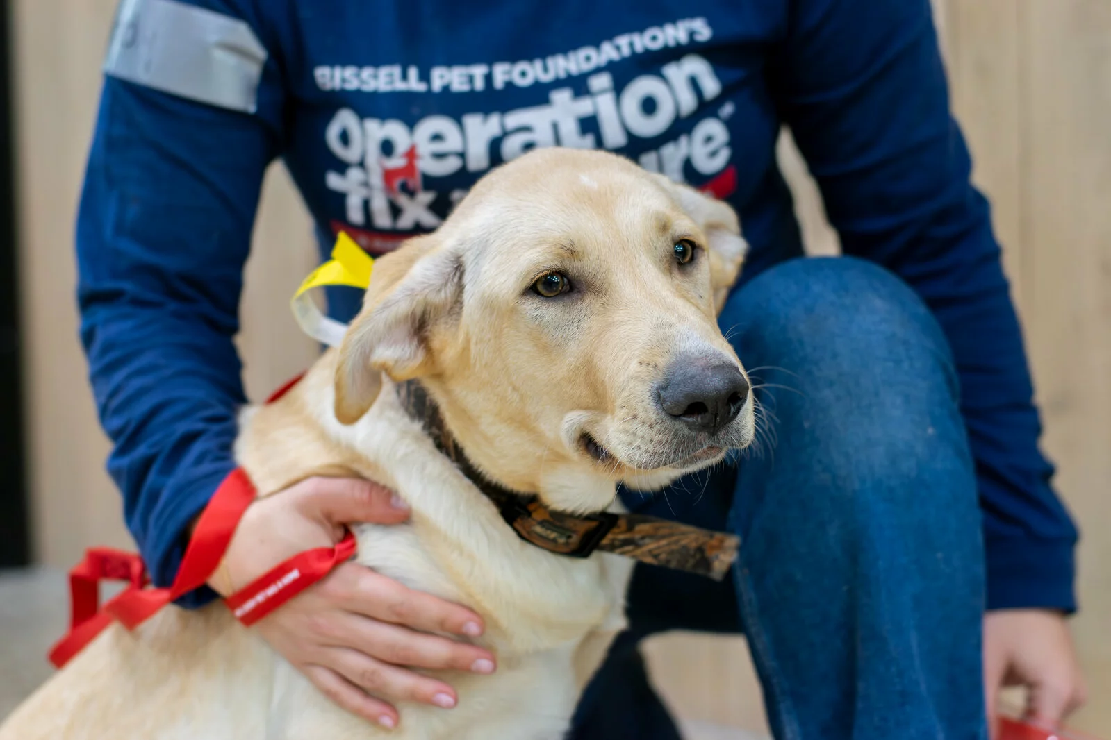 A person wearing a Bissell Pet Foundations Operation Fix It shirt kneels beside a tan dog with a yellow ribbon on its collar, gently resting a hand on the dogs back.
