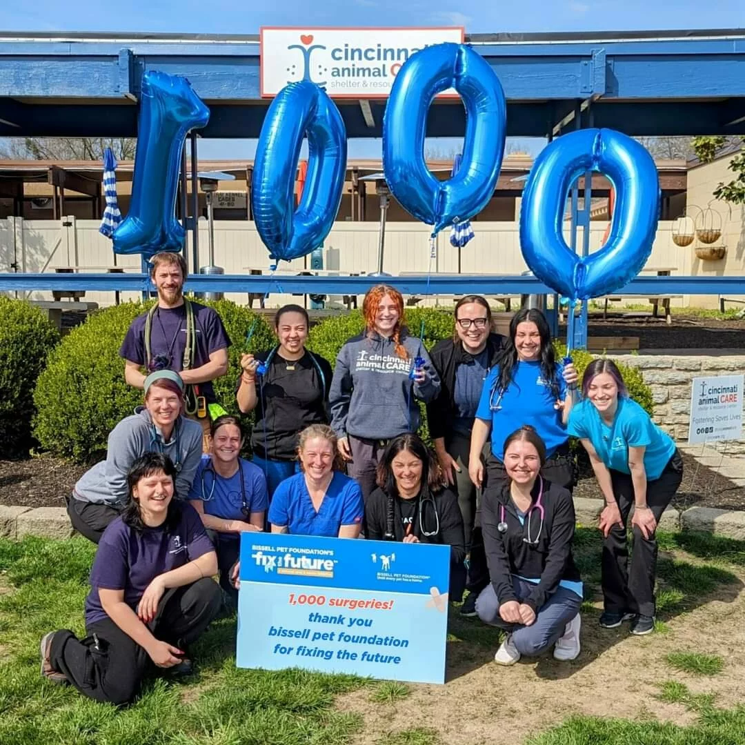 A group of smiling people in scrubs and T-shirts pose outdoors, holding large blue “1000” balloons. They display a sign celebrating 1,000 pet surgeries, with a Cincinnati Animal CARE sign in the background.