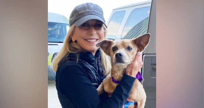 A smiling woman in a cap and black vest holds a small tan dog with large ears and a purple collar in front of a van.