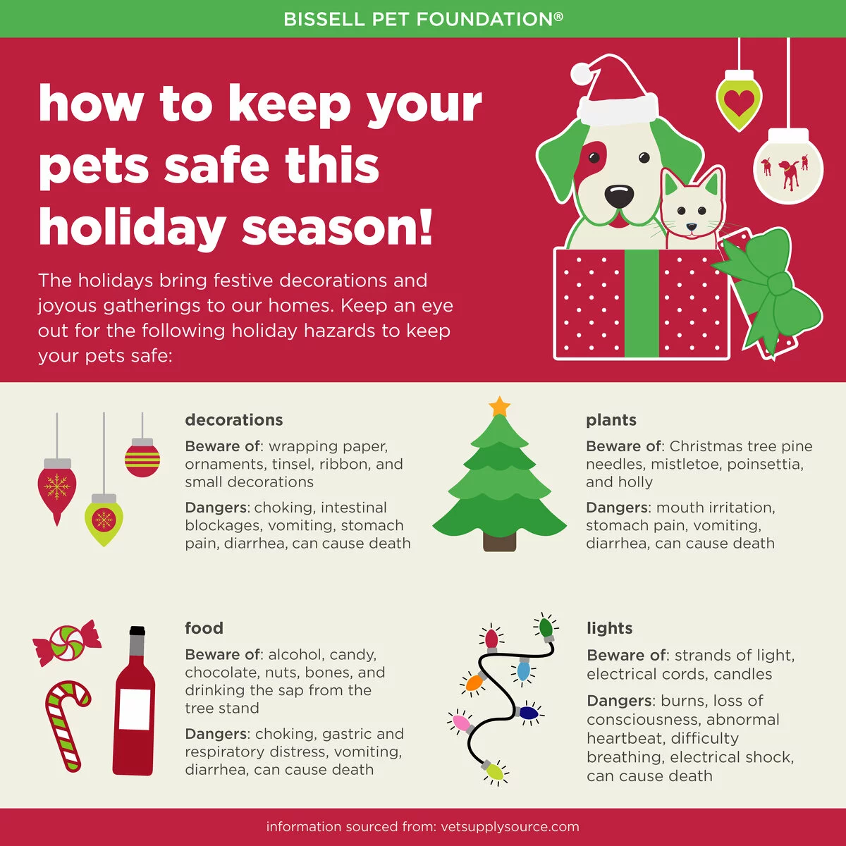 Infographic titled how to keep your pets safe this holiday season, the holidays bring festive decorations and joyous gatherings to our homes. Keep an eye out for the following holiday hazards to keep your pet safe: 1. decorations: beware of wrapping paper, ornaments, tinsel, ribbon and small decorations. dangers include choking, intestinal blockage, vomiting, stomach pain, diarrhea, can cause death. 2. Plants: beware of Christmas tree pine needles, mistletoe, poinsettia and holly. 3. food: beware of alcohol, candy, chocolate, nuts, bones, and drinking the sap from the tree stand. Dangers include choking, gastric and respiratory distress, vomiting, diarrhea, can cause death. 4. Lights: Beware of strands of light, electrical cords, candles. Dangers include burns, loss of consciousness, abnormal heartbeat, difficulty breathing, electrical shock, can cause death. Information sourced from: vetsupplysource.com