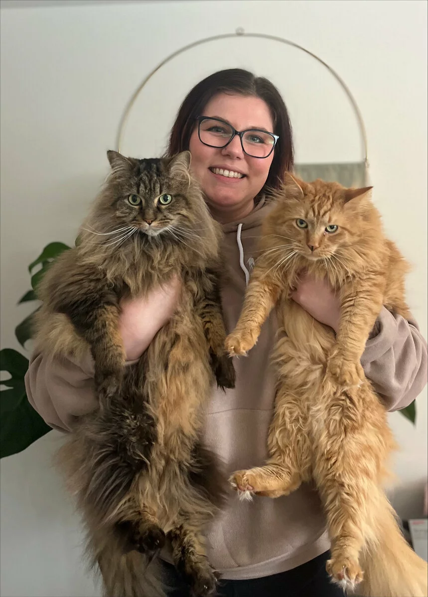 A smiling person with glasses and dark hair holds two large, fluffy cats—one brown tabby and one orange—while standing indoors in front of a white wall and a leafy green plant.