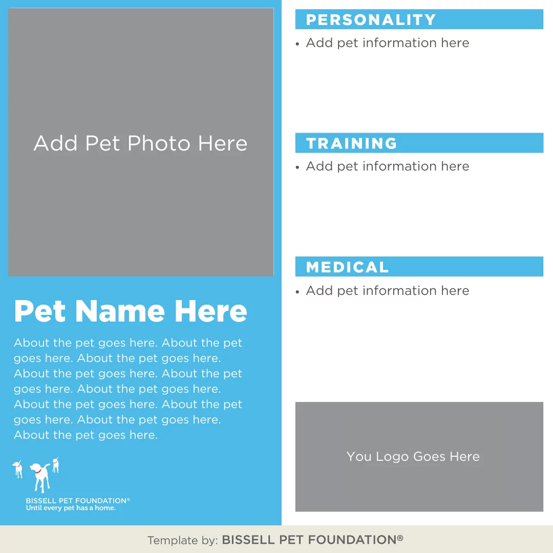 Template for a pet profile. Sections for pet photo, pet name, personality, training, medical details, and organization logo. Text placeholders are present throughout for detailed information. Blue, gray, and white color scheme.