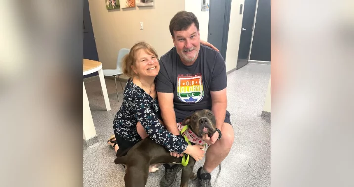 A smiling woman and man sit on the floor indoors, hugging a large brown dog that wears a colorful bandana. The trio appears happy and relaxed in a well-lit room with light-colored walls and furniture.