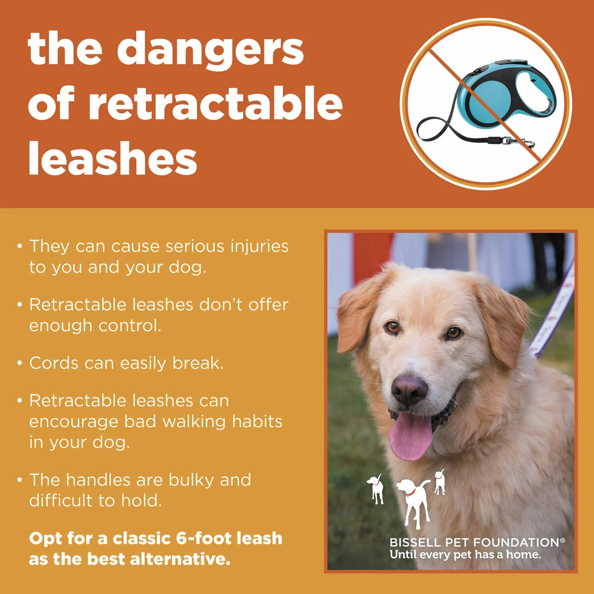 An infographic titled the dangers of retractable leashes lists risks like injuries: they can cause serious injuries to you and your dog, retractable leashes don't offer enough control, cords can easily break, retractable leashes can encourage bad walking habits in your dog, they handles are bulky and difficult to hold. Opt for a classic 6-foot leash as the best alternative. A photo of a happy dog on a leash appears at the bottom.