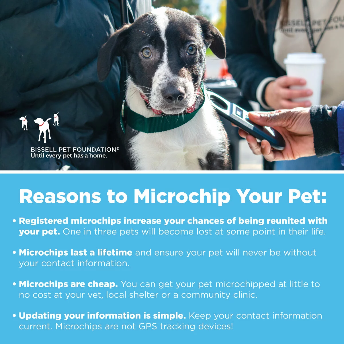 A black and white dog wears a green collar while a person holds a microchip scanner near its neck. Text below lists reasons to microchip pets: registered microchips increase your chances of being reunited with your pet, one in three pets will become lost at some point in their life. Microchips last a lifetime and ensure your pet will never be without your contact information. Microchips are cheap, you can get your pet microchipped at little to no cost at your vet, local shelter or a community clinic. Updating your information is simple, keep your contact information current, microchips are not a GPS tracking device!