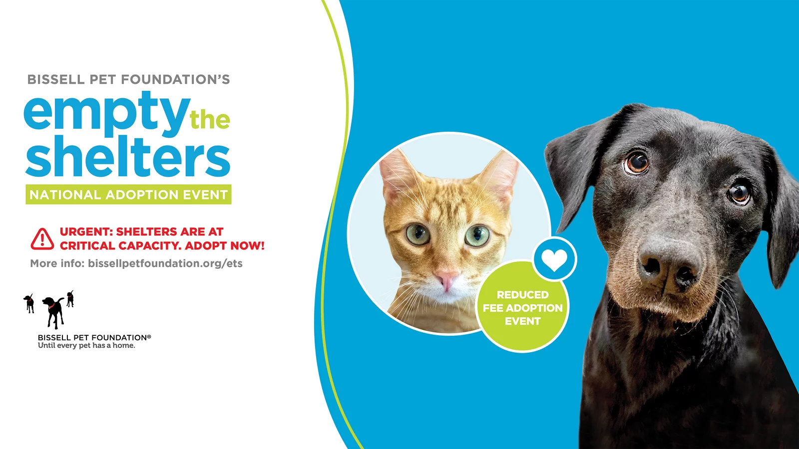 A promotional banner for Bissell Pet Foundation’s “Empty the Shelters” adoption event features a brown dog and an orange cat, with text about reduced adoption fees and urgent shelter capacity.