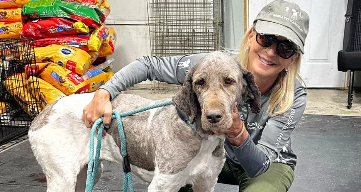 A smiling woman in a cap and sunglasses kneels beside a large, curly-haired dog with short fur. She hugs its neck with one arm. Bags of dog food are stacked in the background.