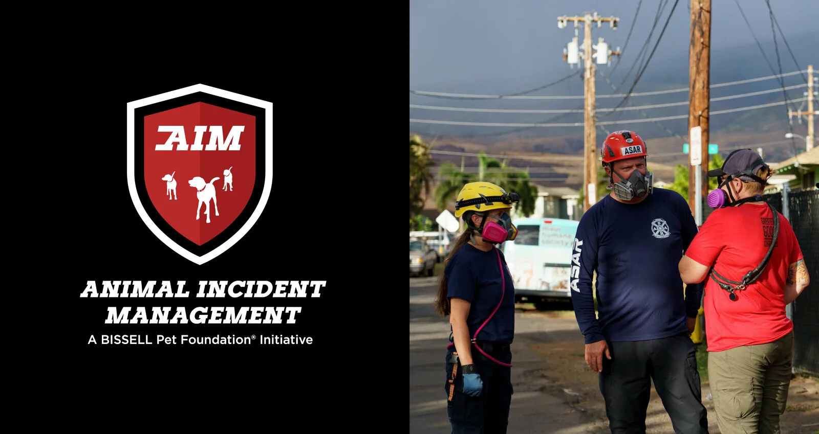 Split image: Left side shows the AIM logo with text Animal Incident Management, A BISSELL Pet Foundation Initiative. Right side shows three rescue workers in safety gear talking on a street with mountains in the background.