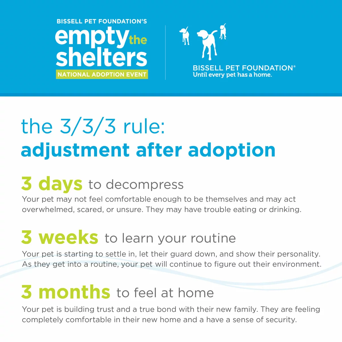 Informational graphic for Empty the Shelters adoption event explains the 3/3/3 rule adjustment after adoption: 3 days to decompress (your pet may not feel comfortable enough to be themselves and may act overwhelmed, scared, or unsure. They may have trouble eating or drinking), 3 weeks to learn routine (your pet is starting to settle in, let their guard down, and show their personality. As they get into a routine, your pet will continue to figure out their environment), and 3 months to feel at home (your pet is building trust and a true bond with their new family. They are feeling completely comfortable in their new home and a have a sense of security) after adopting a pet.